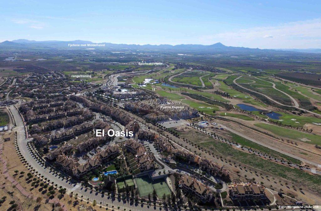 DCIM100MEDIADJI 0025.JPG