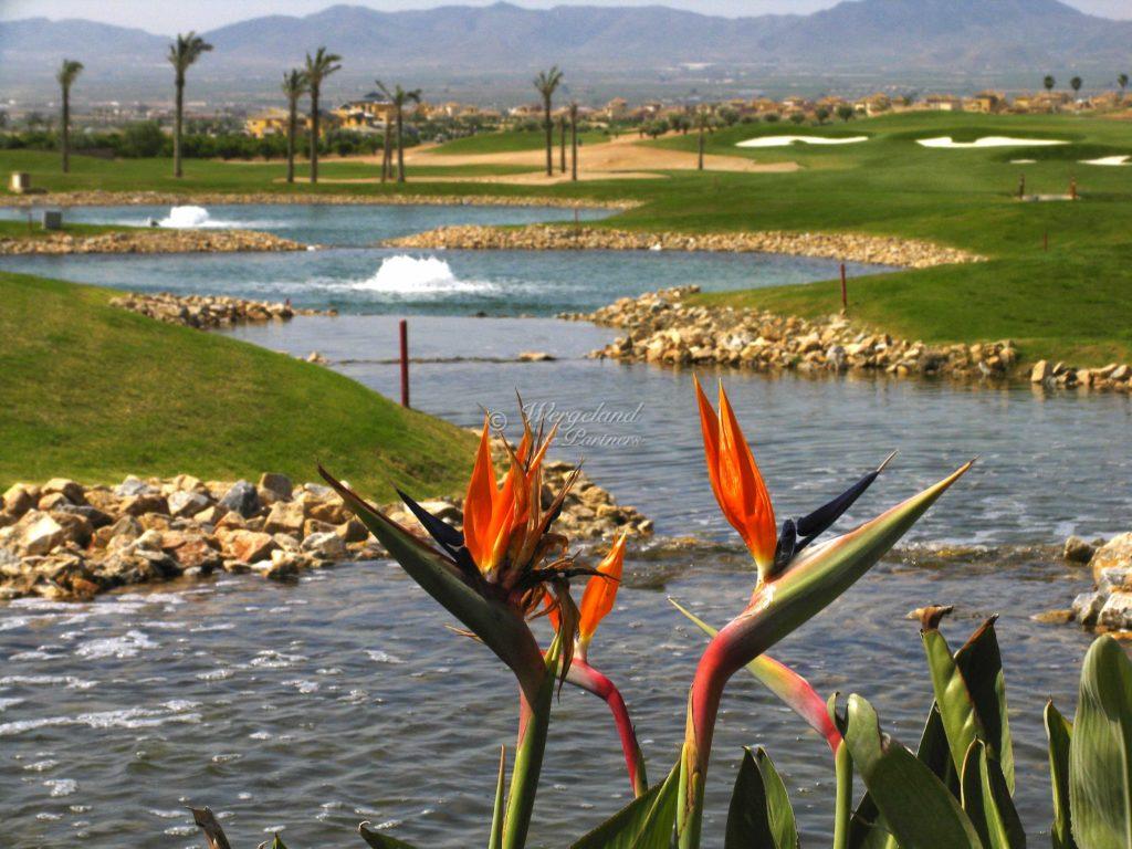 Pappegøye Plante Og Vann Ved Golf