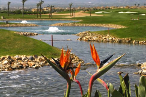 Pappegøye Plante Og Vann Ved Golf