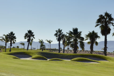 MAR MENOR GOLF