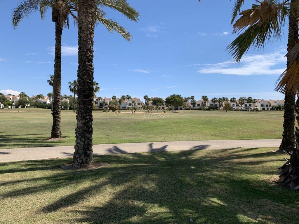 View From 10.17 Plot