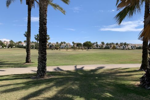 View From 10.17 Plot